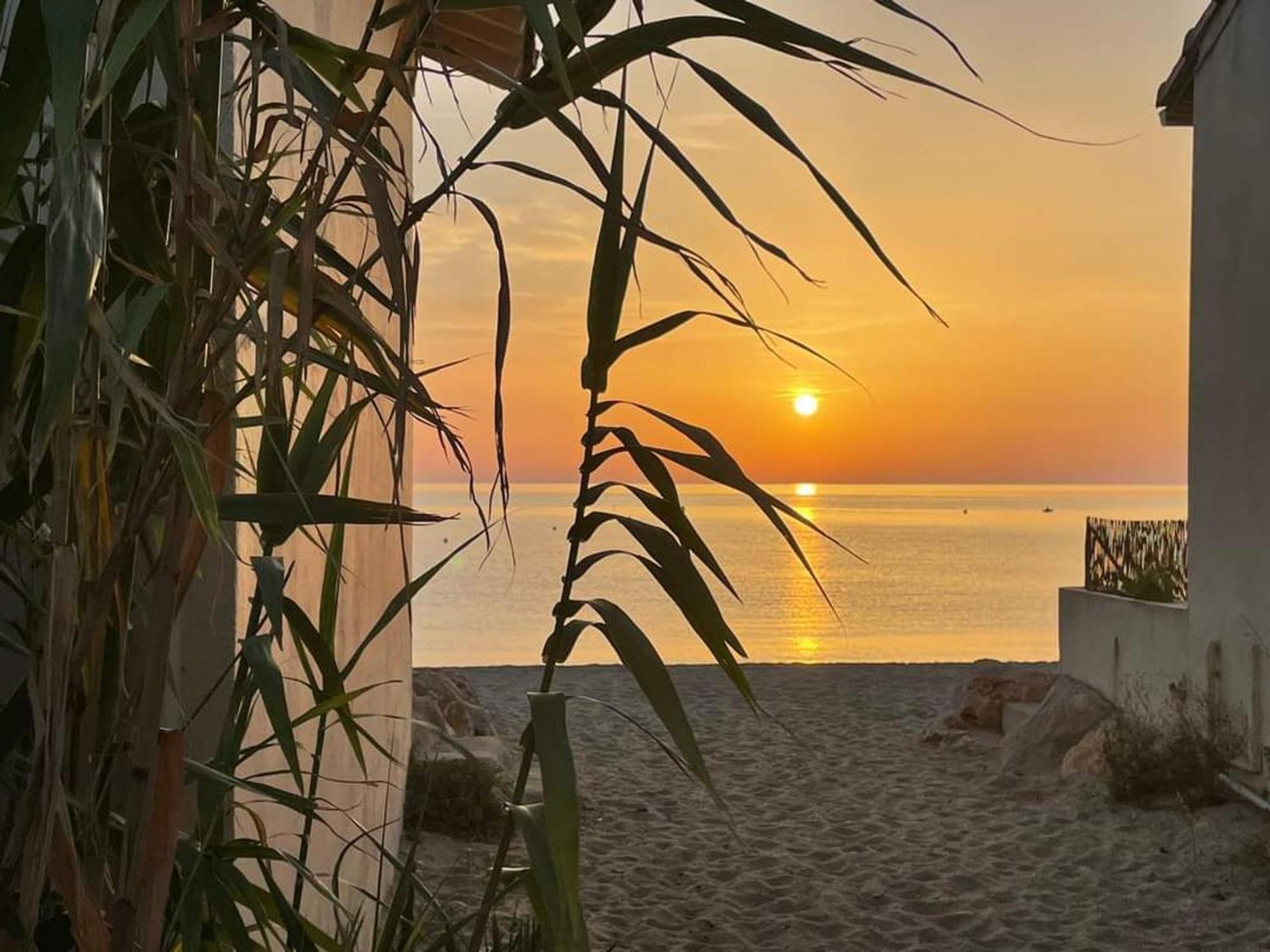 Pavillon 6 Pers A Argeles-Sur-Mer: Piscine, Clim, Parking, Wifi, Proche Plage - Fr-1-776-5 Kültér fotó
