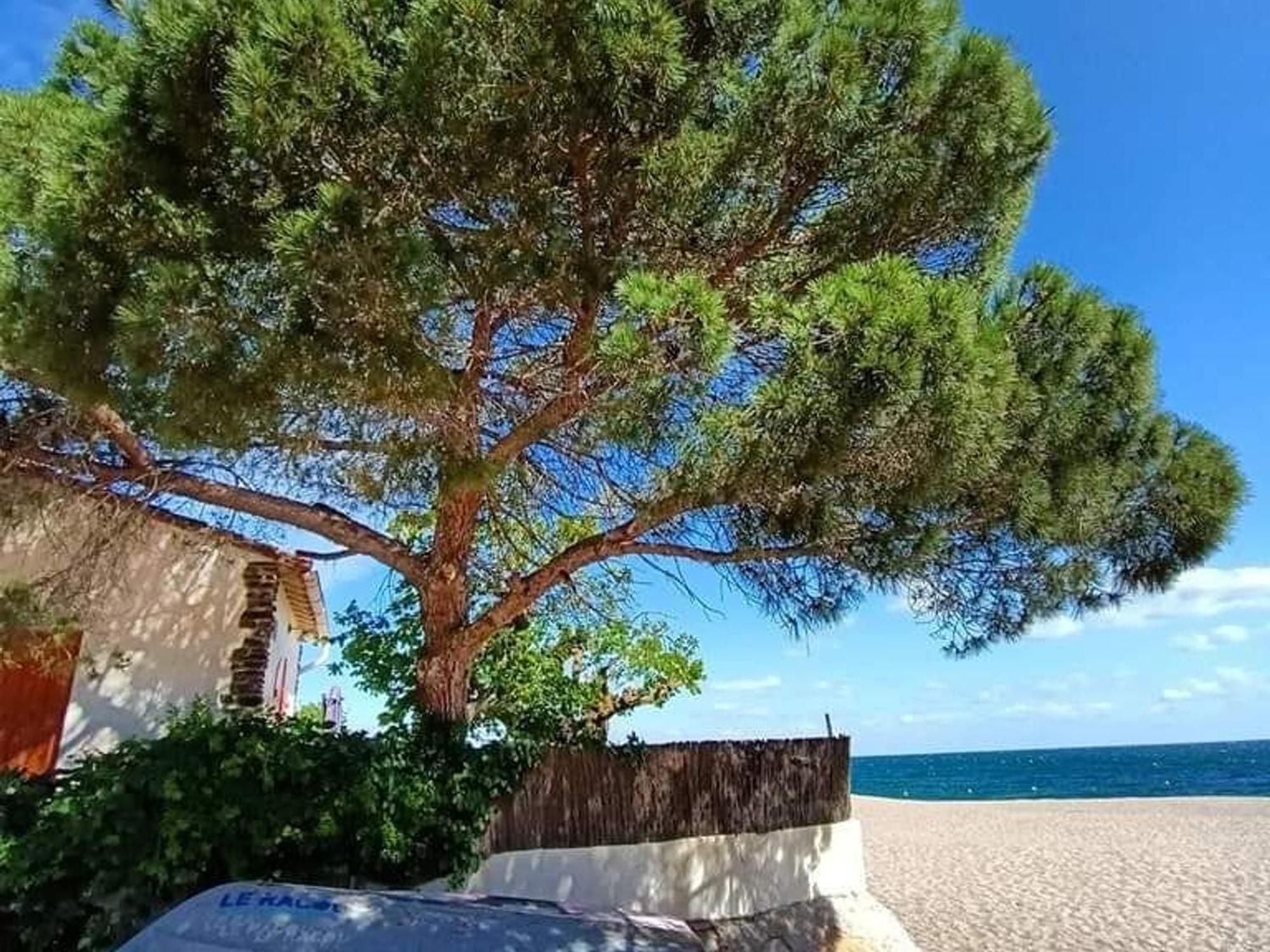 Pavillon 6 Pers A Argeles-Sur-Mer: Piscine, Clim, Parking, Wifi, Proche Plage - Fr-1-776-5 Kültér fotó